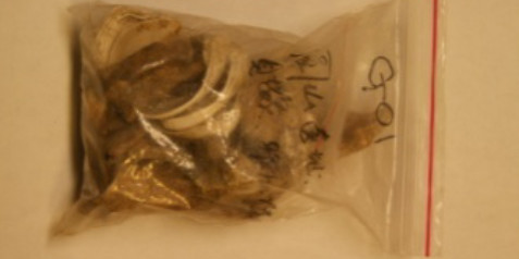 圓山遺址 貝類、骨骸、齒