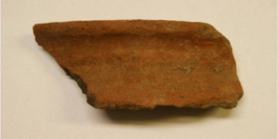 訊塘埔文化 大坌坑遺址採集