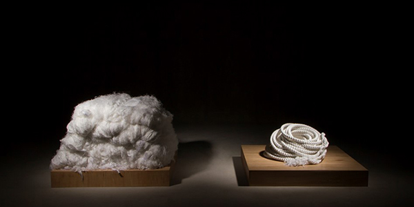 看的見與看不見