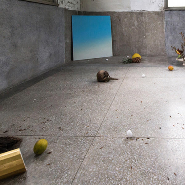 春聯、蚊蟲、風水石、煙燻、召喚、去相合、水果、家庭、收音機、海報、疾病、所有權