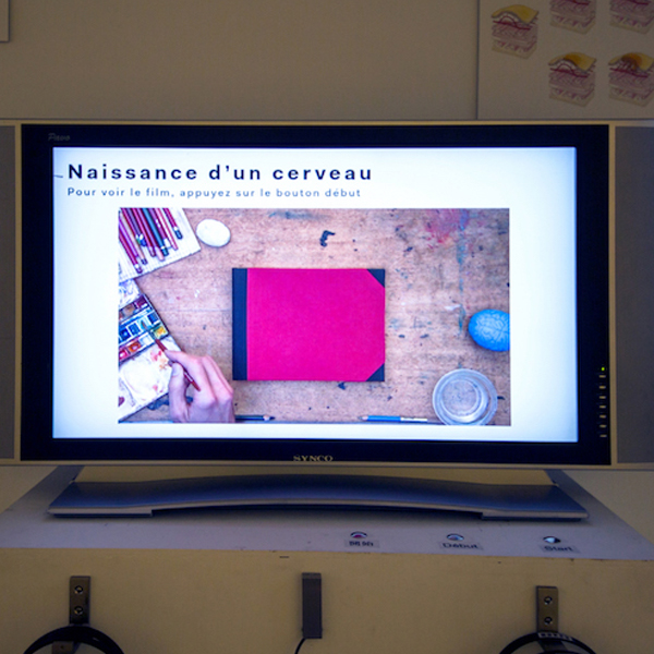 圖畫：共同空間的追尋