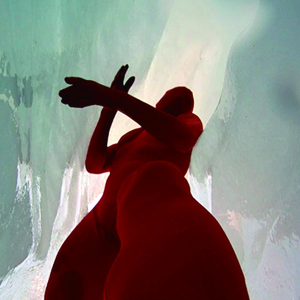 內視鏡(entr(SCO)py)